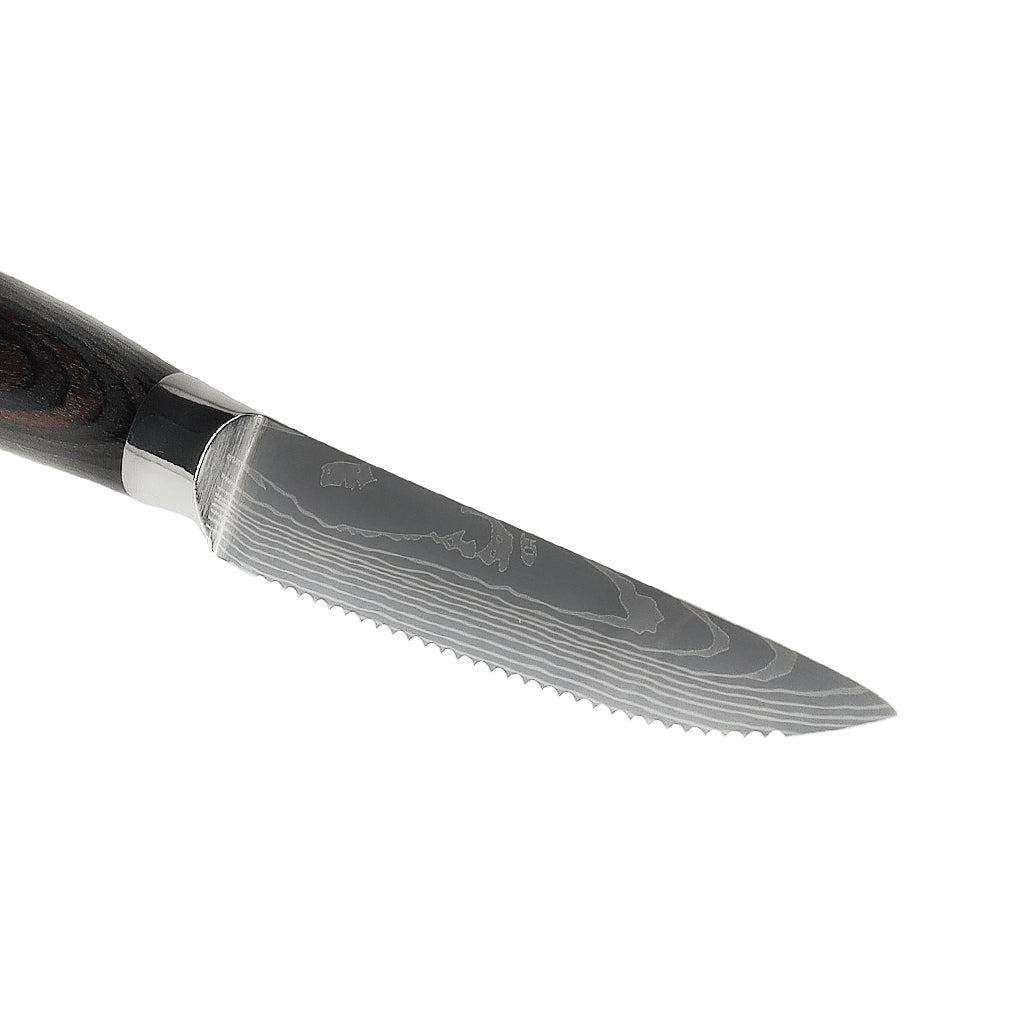 Shinrai Japan - Damascus Print 4 Steakmesser