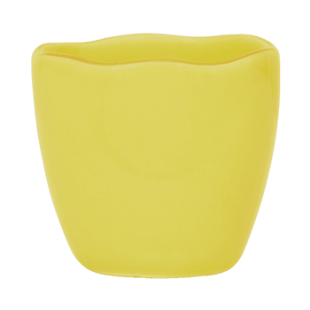 Culture de la nature urbaine Bonjour - Coquetiers Limelight - Lot de 2 Culture de la nature urbaine